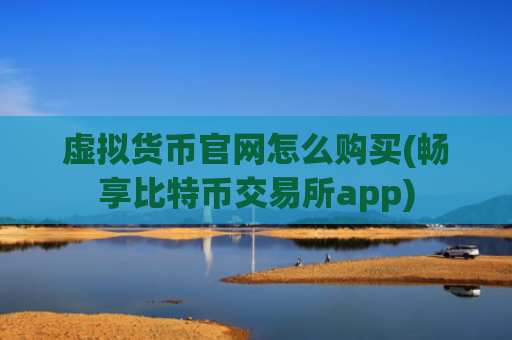 虚拟货币官网怎么购买(畅享比特币交易所app)