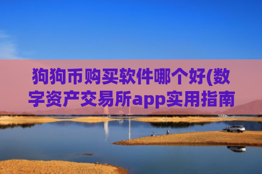 狗狗币购买软件哪个好(数字资产交易所app实用指南)