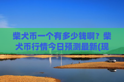 柴犬币一个有多少钱啊？柴犬币行情今日预测最新(现价0.00023238元)