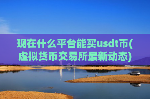 现在什么平台能买usdt币(虚拟货币交易所最新动态)