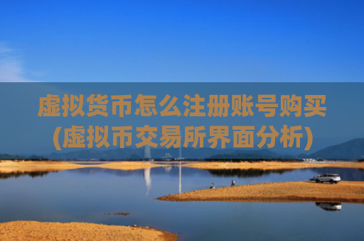 虚拟货币怎么注册账号购买(虚拟币交易所界面分析)