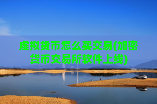 虚拟货币怎么买交易(加密货币交易所软件上线)