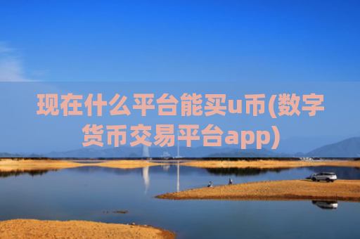 现在什么平台能买u币(数字货币交易平台app)