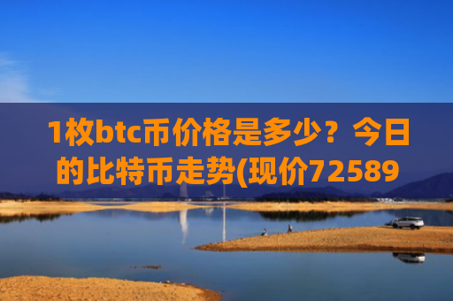 1枚btc币价格是多少？今日的比特币走势(现价725897.31元)