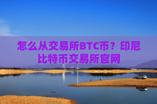 怎么从交易所BTC币？印尼比特币交易所官网
