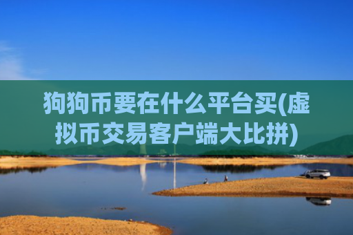 狗狗币要在什么平台买(虚拟币交易客户端大比拼)