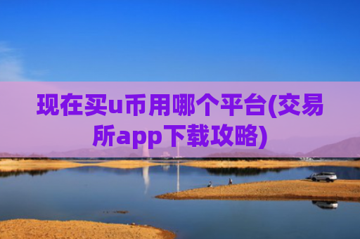 现在买u币用哪个平台(交易所app下载攻略)