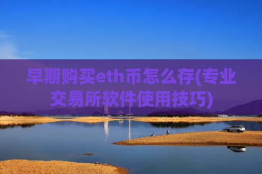 早期购买eth币怎么存(专业交易所软件使用技巧)