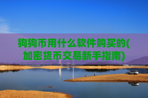狗狗币用什么软件购买的(加密货币交易新手指南)