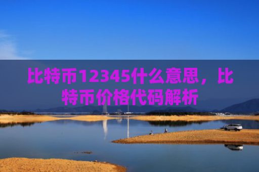 比特币12345什么意思，比特币价格代码解析