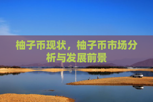 柚子币现状，柚子币市场分析与发展前景