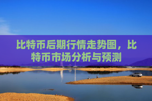 比特币后期行情走势图，比特币市场分析与预测