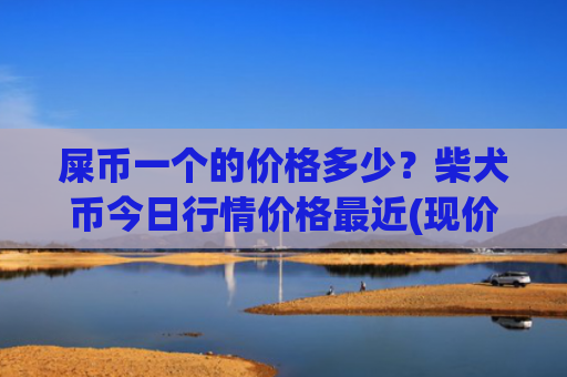 屎币一个的价格多少？柴犬币今日行情价格最近(现价0.00023144元)