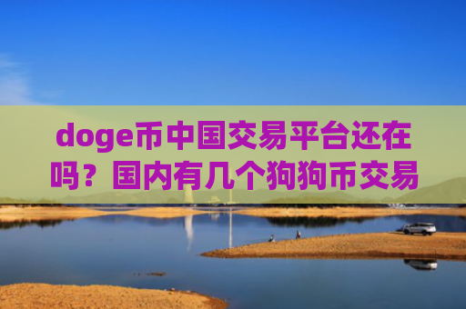 doge币中国交易平台还在吗？国内有几个狗狗币交易平台