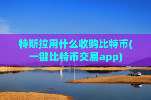 特斯拉用什么收购比特币(一键比特币交易app)