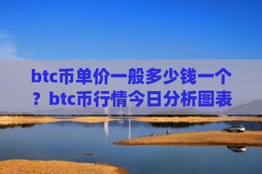 btc币单价一般多少钱一个？btc币行情今日分析图表(现价726963.79元)
