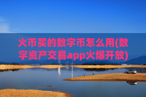 火币买的数字币怎么用(数字资产交易app火爆开放)