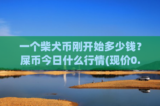 一个柴犬币刚开始多少钱？屎币今日什么行情(现价0.00023129元)