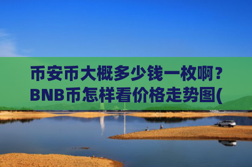 币安币大概多少钱一枚啊？BNB币怎样看价格走势图(现价5355.48元)
