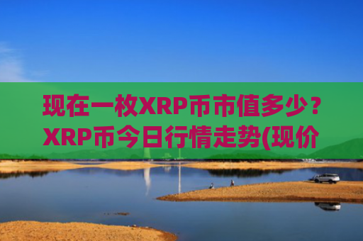 现在一枚XRP币市值多少？XRP币今日行情走势(现价18.8284元)