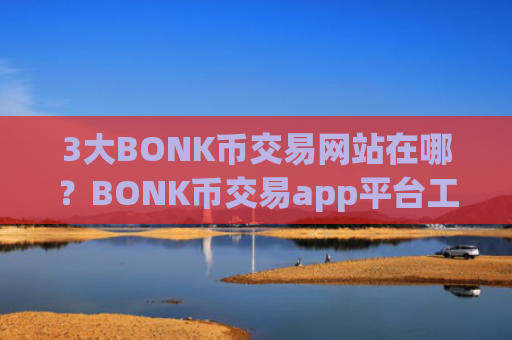 3大BONK币交易网站在哪？BONK币交易app平台工作