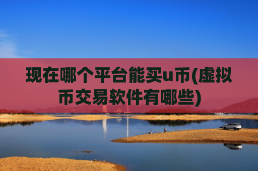 现在哪个平台能买u币(虚拟币交易软件有哪些)