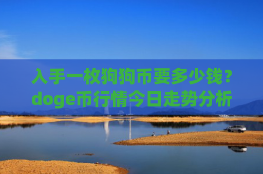 入手一枚狗狗币要多少钱？doge币行情今日走势分析(现价3.3717元)