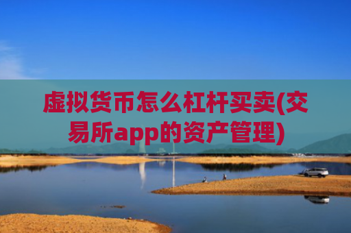 虚拟货币怎么杠杆买卖(交易所app的资产管理)