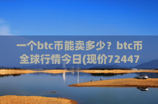 一个btc币能卖多少？btc币全球行情今日(现价724473.34元)