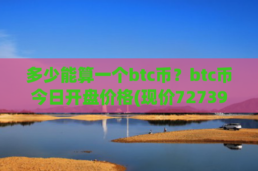 多少能算一个btc币？btc币今日开盘价格(现价727395.61元)