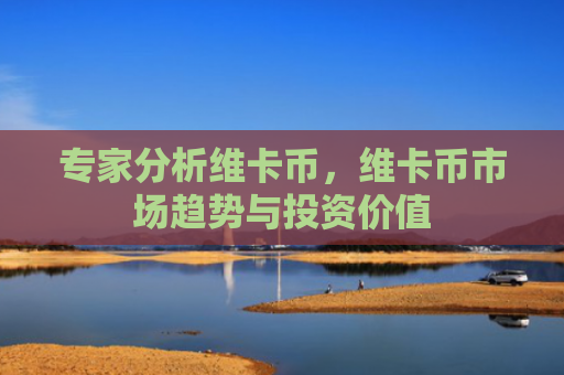 专家分析维卡币，维卡币市场趋势与投资价值
