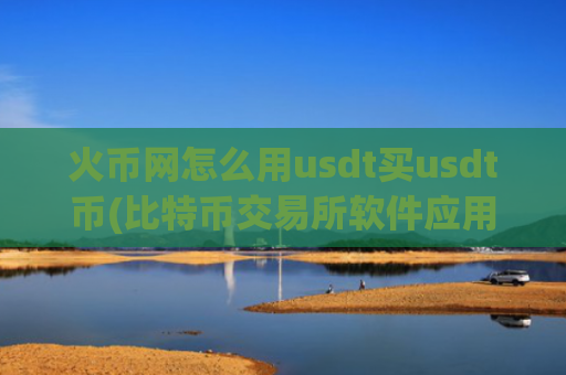 火币网怎么用usdt买usdt币(比特币交易所软件应用)