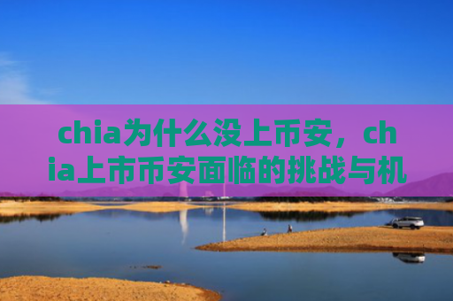 chia为什么没上币安，chia上市币安面临的挑战与机遇