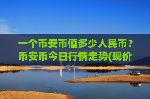 一个币安币值多少人民币？币安币今日行情走势(现价5382.17元)