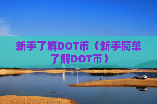 新手了解DOT币（新手简单了解DOT币）