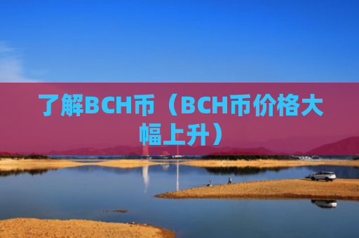 了解BCH币（BCH币价格大幅上升）