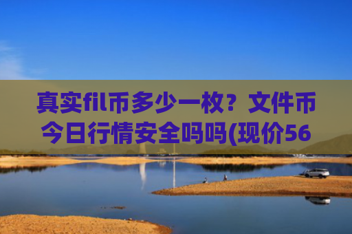 真实fil币多少一枚？文件币今日行情安全吗吗(现价56.4082元)