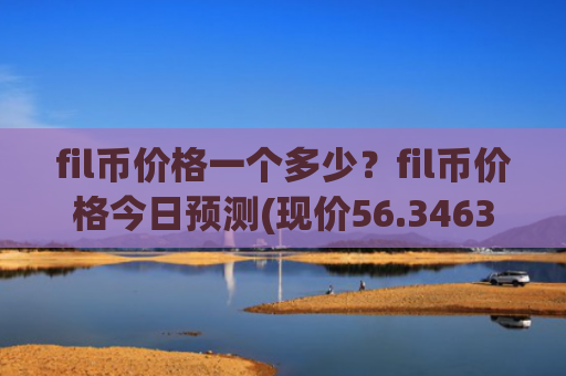 fil币价格一个多少？fil币价格今日预测(现价56.3463元)