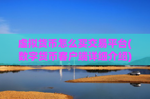 虚拟货币怎么买交易平台(数字货币客户端详细介绍)