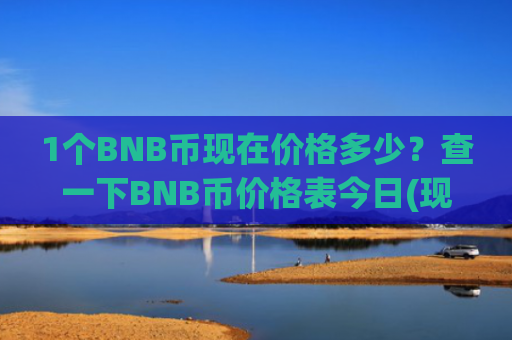 1个BNB币现在价格多少？查一下BNB币价格表今日(现价5385.95元)