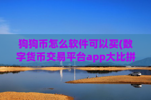 狗狗币怎么软件可以买(数字货币交易平台app大比拼)
