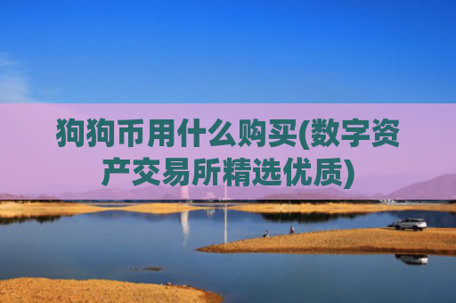 狗狗币用什么购买(数字资产交易所精选优质)
