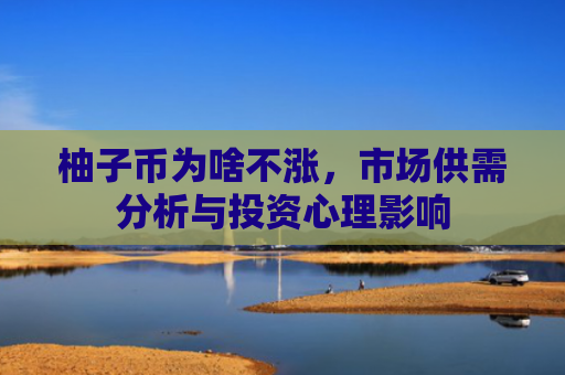 柚子币为啥不涨，市场供需分析与投资心理影响