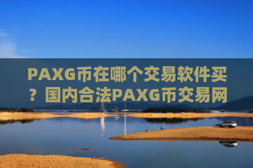 PAXG币在哪个交易软件买？国内合法PAXG币交易网站