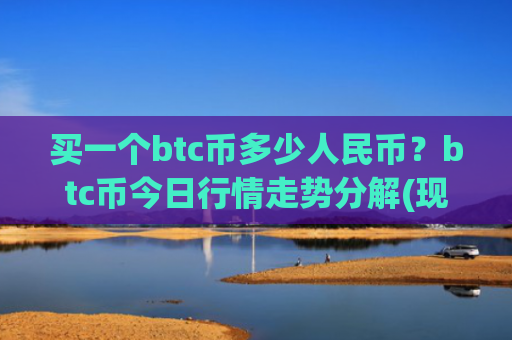 买一个btc币多少人民币？btc币今日行情走势分解(现价730726.95元)