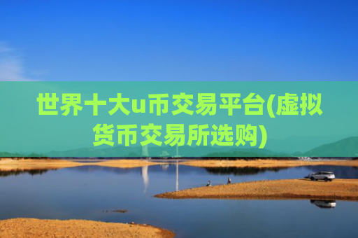 世界十大u币交易平台(虚拟货币交易所选购)