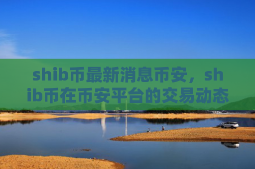 shib币最新消息币安，shib币在币安平台的交易动态