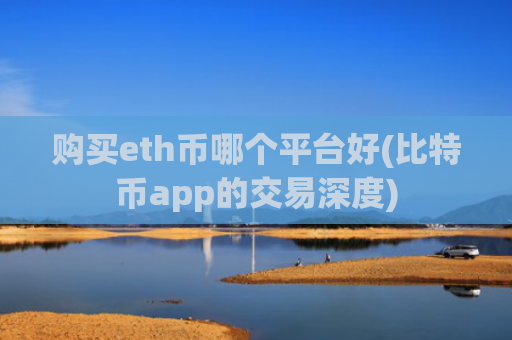 购买eth币哪个平台好(比特币app的交易深度)