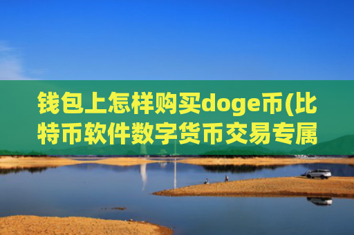钱包上怎样购买doge币(比特币软件数字货币交易专属)
