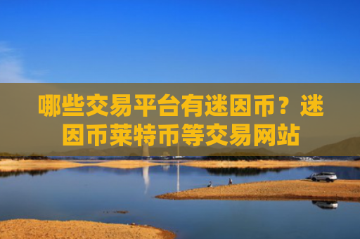哪些交易平台有迷因币?迷因币莱特币等交易网站